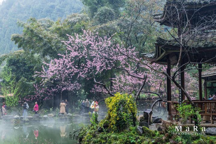 疯狂方块圣诞节